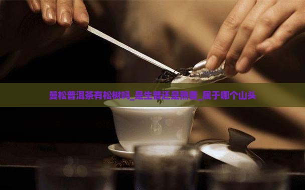 曼松普洱茶有松树吗_是生普还是熟普_属于哪个山头