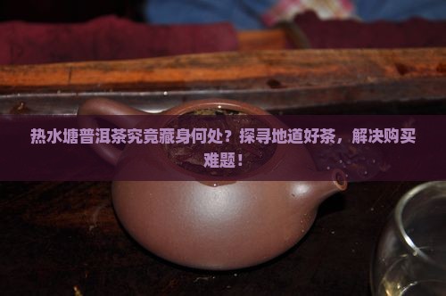 热水塘普洱茶究竟藏身何处？探寻地道好茶，解决购买难题！