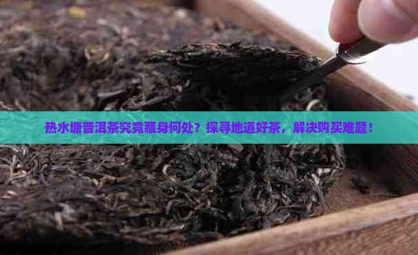 热水塘普洱茶究竟藏身何处？探寻地道好茶，解决购买难题！