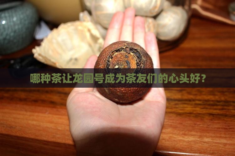 哪种茶让龙园号成为茶友们的心头好？