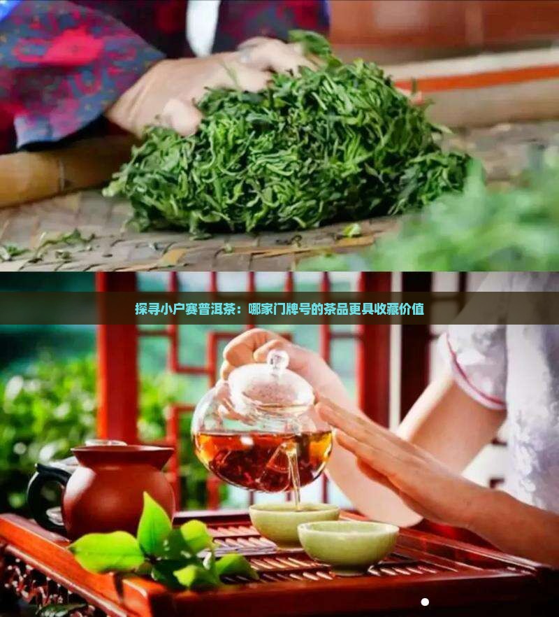 探寻小户赛普洱茶：哪家门牌号的茶品更具收藏价值