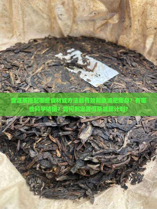 普洱茶搭配哪些食材或方法最有效帮助减肥瘦身？有哪些科学依据？如何制定普洱茶减肥计划？