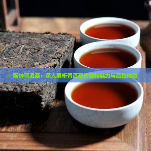 酷绅普洱茶：深入解析普洱茶的独特魅力与品饮体验