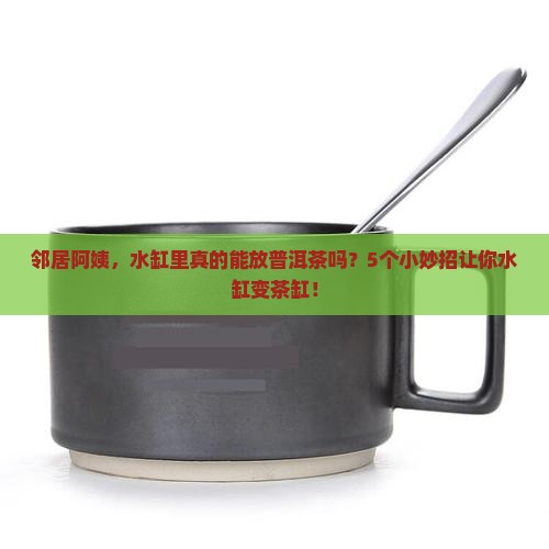 邻居阿姨，水缸里真的能放普洱茶吗？5个小妙招让你水缸变茶缸！