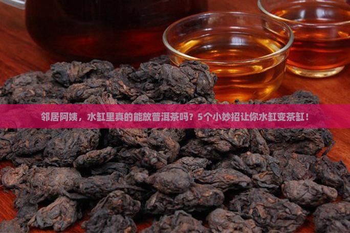 邻居阿姨，水缸里真的能放普洱茶吗？5个小妙招让你水缸变茶缸！