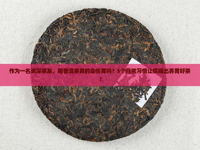 作为一名资深茶友，喝普洱茶真的会伤胃吗？5个日常习惯让你喝出养胃好茶！
