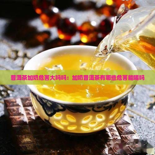 普洱茶加奶危害大吗吗：加奶普洱茶有哪些危害能喝吗