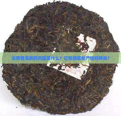 云南普洱茶的范围是什么？它包括哪些产地和种类？