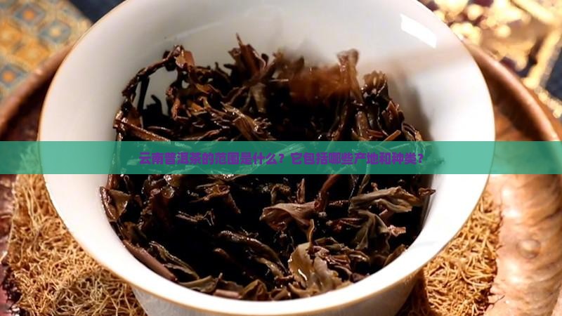 云南普洱茶的范围是什么？它包括哪些产地和种类？