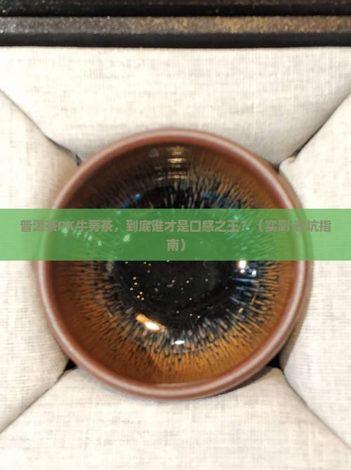 普洱茶和牛蒡茶哪个好喝