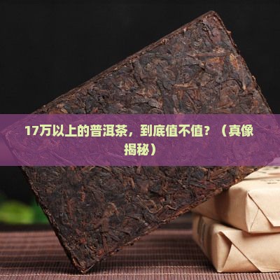 17万以上的普洱茶