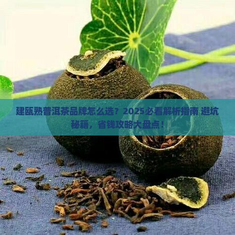 建瓯熟普洱茶品牌