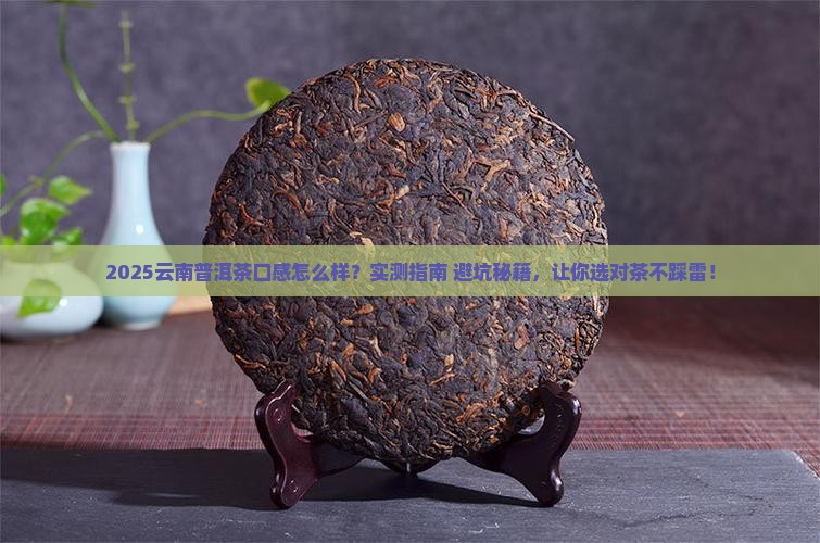 云南的普洱茶怎么样口感
