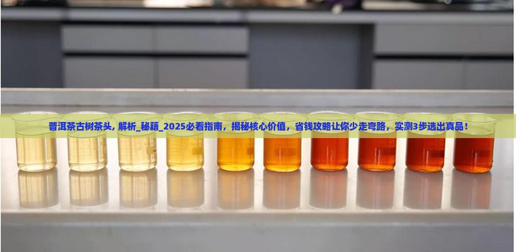 普洱茶古树茶头
