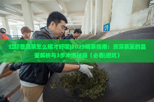 红印普洱茶怎么喝才好呢
