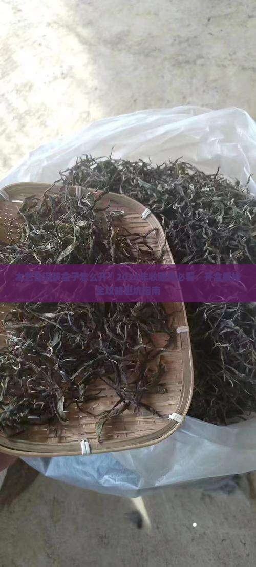 木艺普洱茶盒子怎么开