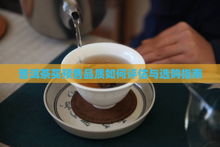 普洱茶买预售品质