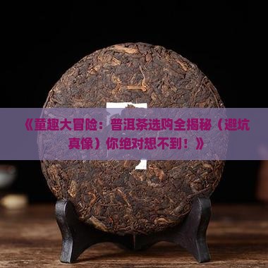童趣大冒险普洱茶冒险