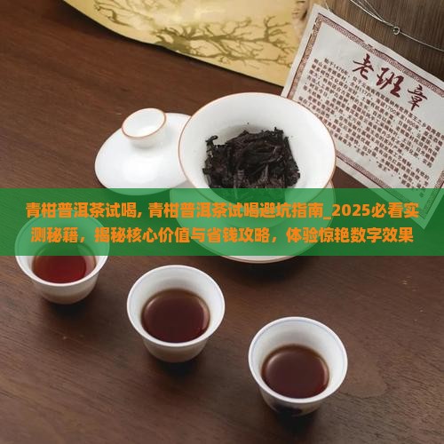 青柑普洱茶试喝