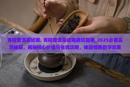 青柑普洱茶试喝