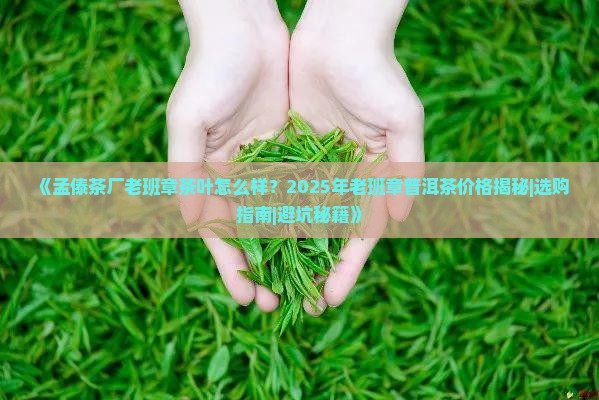孟傣茶厂老班章 孟傣茶厂老班章
