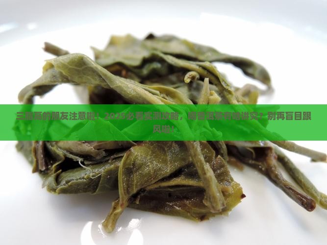 三脂高能不能喝普洱茶
