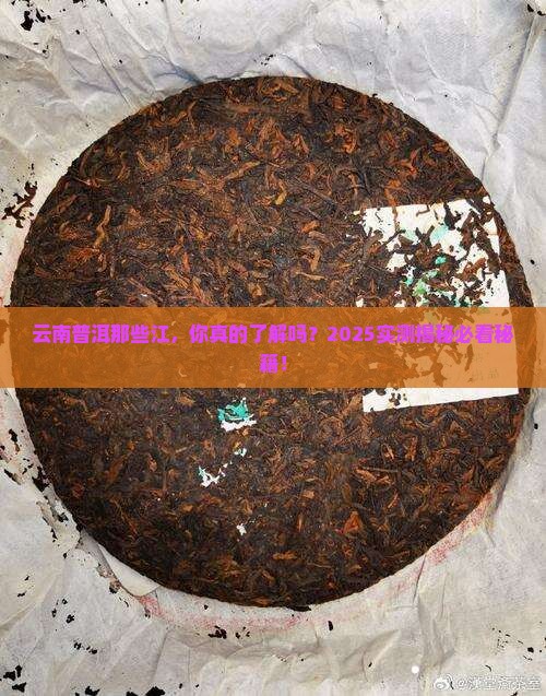 云南普洱有什么江