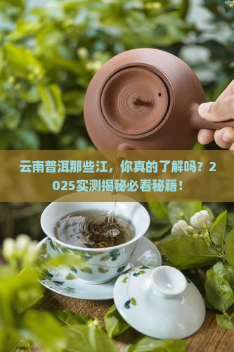 云南普洱有什么江