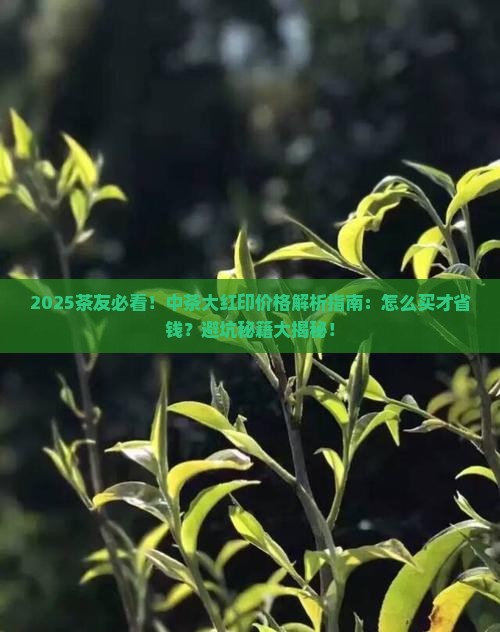 2021中茶大红印价格