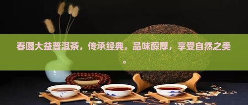 春圆大益普洱茶