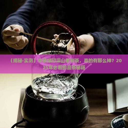 中茶绿印深山老树茶