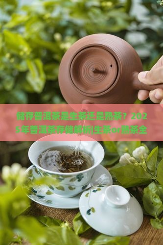 储存普洱茶是生茶还是熟茶
