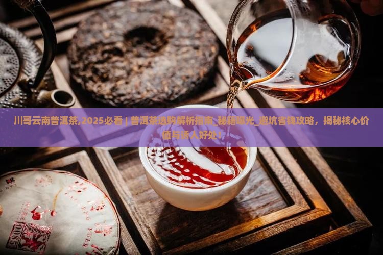 川哥云南普洱茶