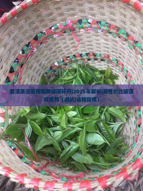 普洱茶泡茶用哪种玻璃杯好