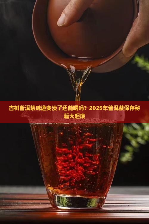 古树普洱茶味道变淡了还能喝吗
