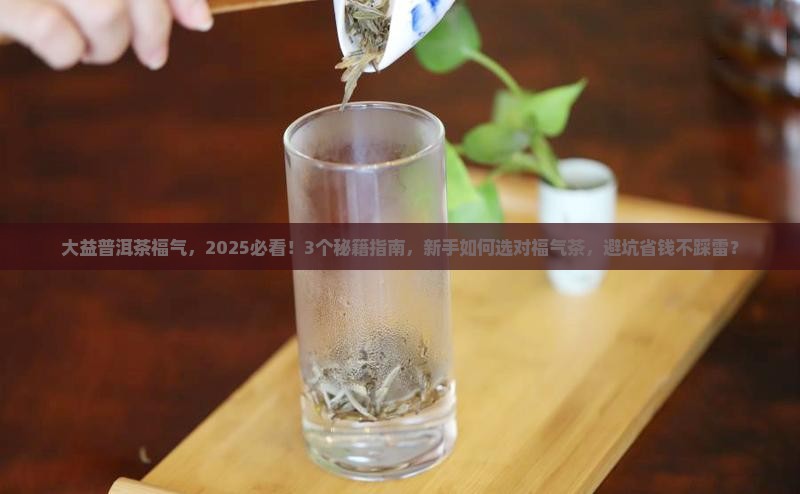 大益普洱茶福气