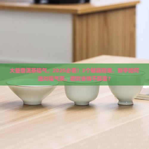 大益普洱茶福气