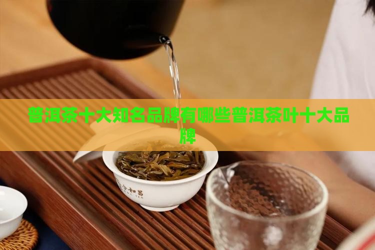 普洱茶十大知名品牌有哪些