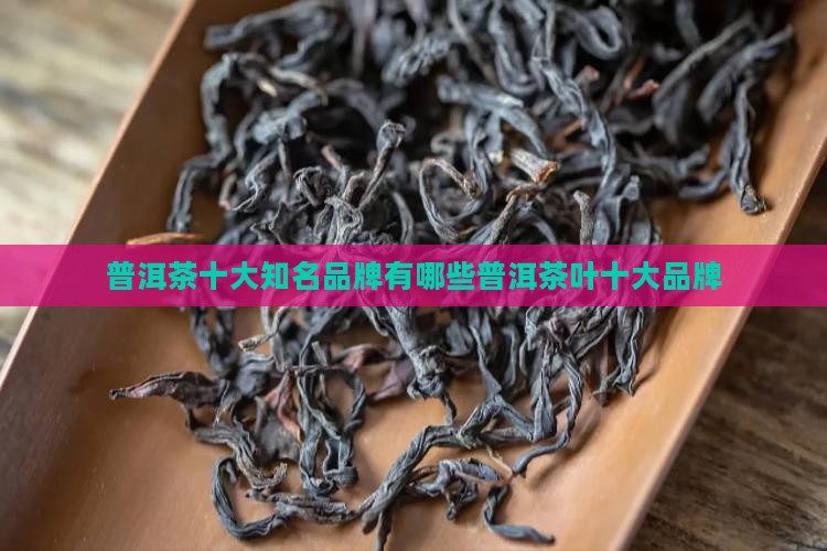普洱茶十大知名品牌有哪些