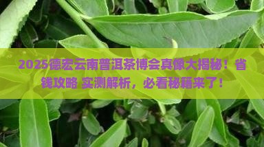 德宏云南普洱茶博会 德宏云南普洱茶博会