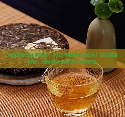普洱茶冰岛生茶散茶