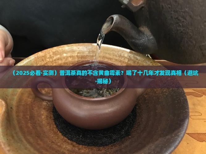 普洱茶中不含黄曲霉素吗
