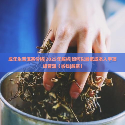 成年生普洱茶价格