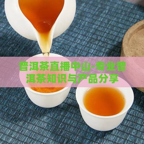 普洱茶直播中山