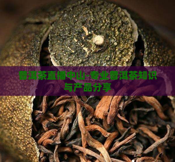 普洱茶直播中山