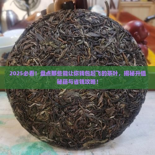 什么茶叶可以升值