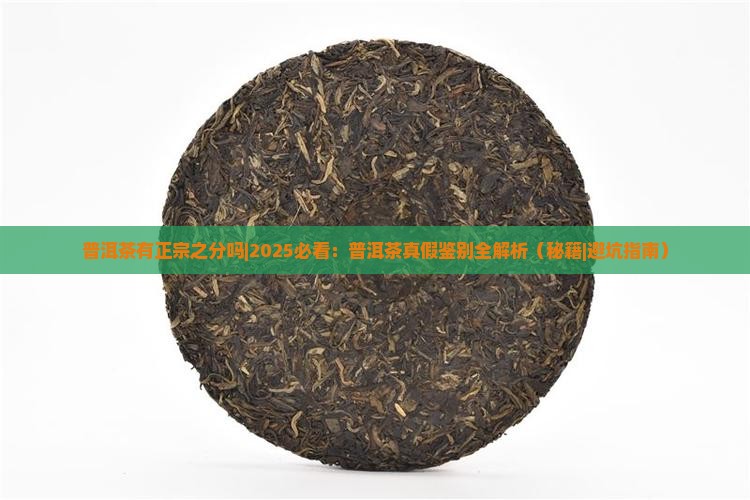 普洱茶有正宗之分吗