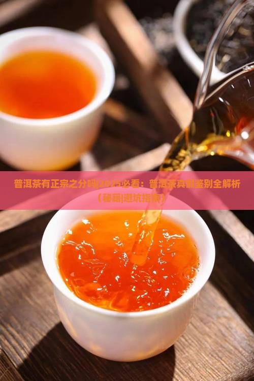 普洱茶有正宗之分吗