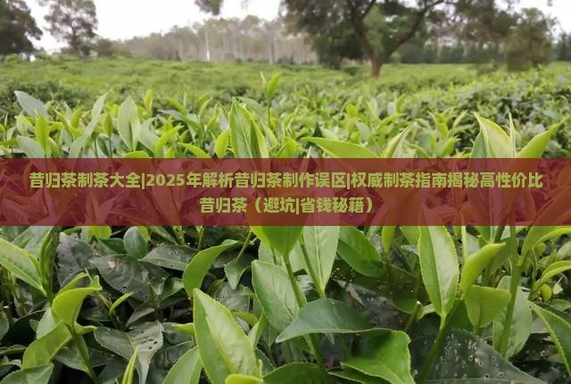 昔归茶制茶大全