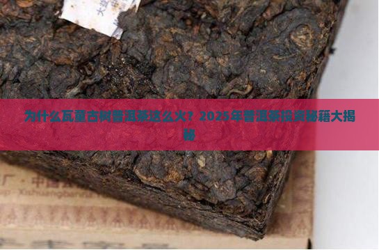 瓦童古树普洱茶